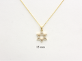 A gold-colored necklace with a Star of David pendant. The pendant is 15 mm in size and is encrusted with natural diamonds. The chain is delicate and hangs against a white background.
