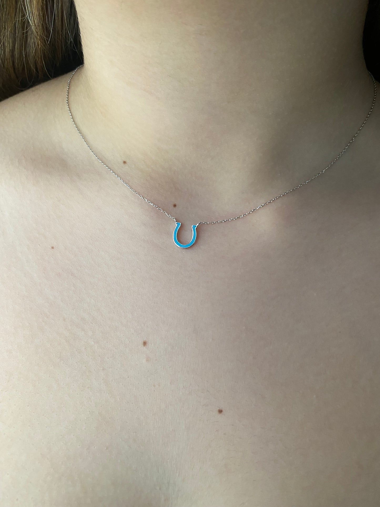 14k Blue Enamel Horseshoe Necklace